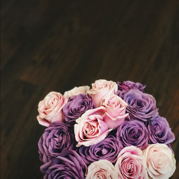 Meet your Posher, Zoya - Picture 1 of 1